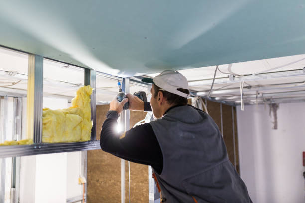 Best Insulation Maintenance and Repair in Brownsville, TX